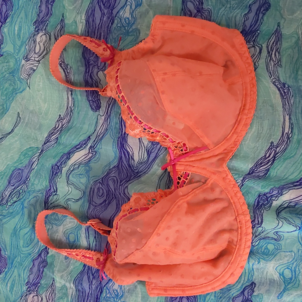 Curvy Kate bra